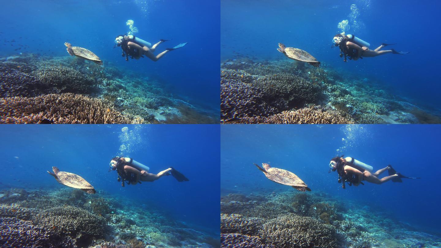 自信的年轻女子穿着潜水装备潜水
