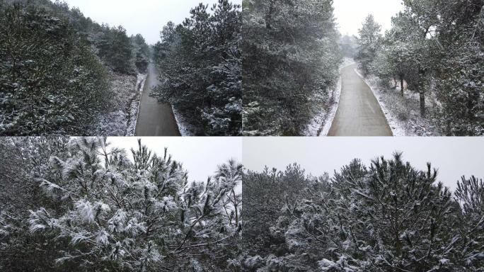 大雪纷飞漫天飞雪山巅暴风雪雪景意境素材