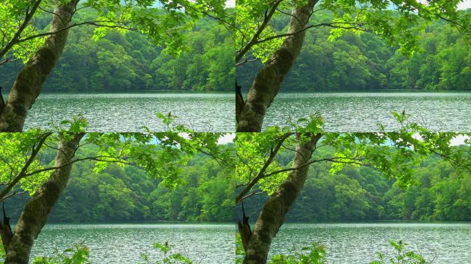 绿湖清新生态风光