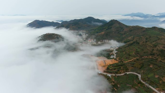 航拍厦门同安白胶祠茶山，乡村和云海