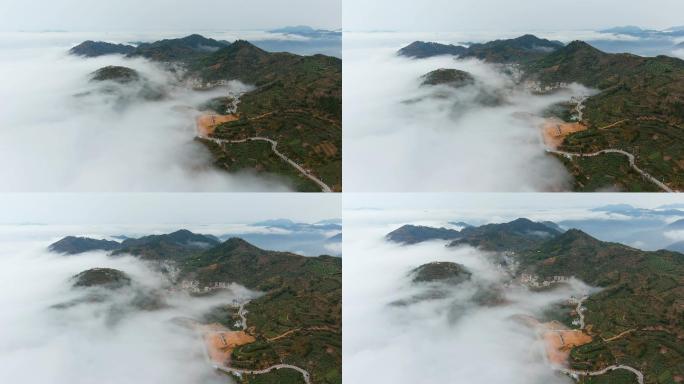 航拍厦门同安白胶祠茶山，乡村和云海