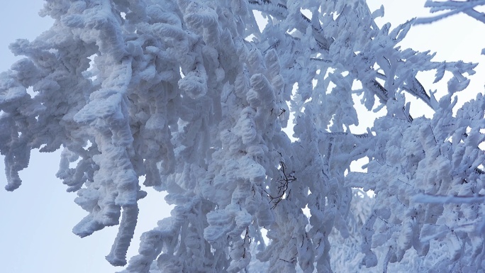 航拍丽水敕木山雾淞雪景风光