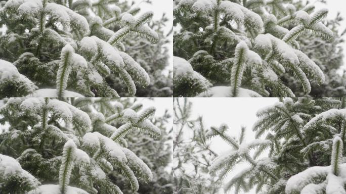 大雪纷飞暴风雪雪灾雪景意境素材鹅毛大雪