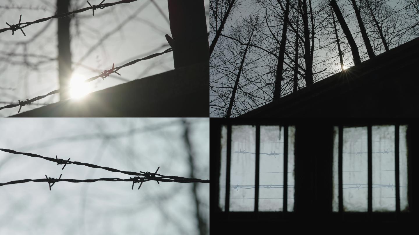 铁丝、围墙、窗外、阳光、树、冬季