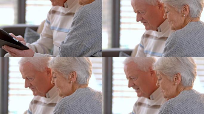 在交流的老年夫妇老年人看电脑老年夫妇夫妻
