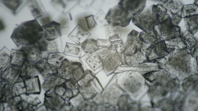 盐结晶显微镜观察食盐结晶