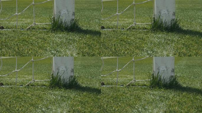 足球球门网和杆的特写镜头