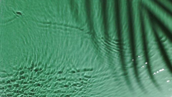 绿水表面纹理，棕榈阴影