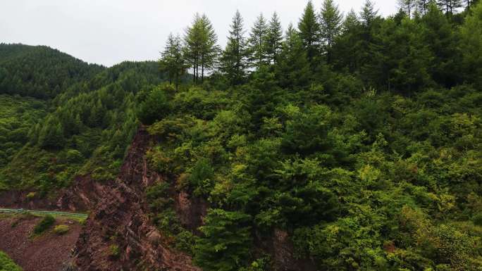 【合集】航拍宁夏六盘山森林盘山公路