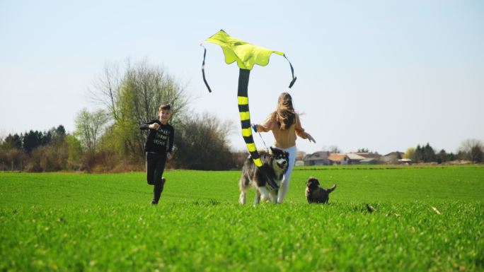 在草坪上玩耍的人放风筝外国人绿地