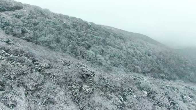 4K 银装素裹的雷公山雪景4