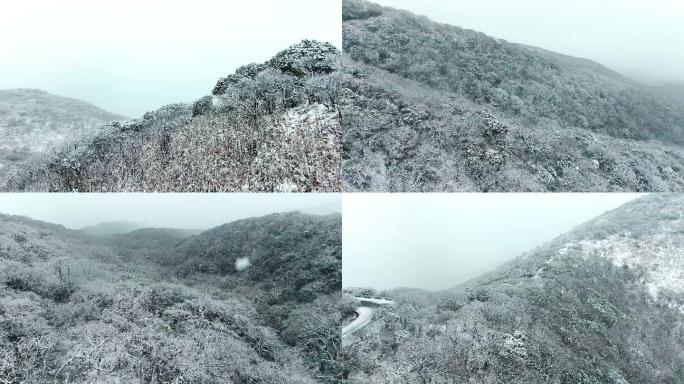 4K 银装素裹的雷公山雪景4