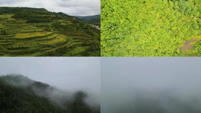 【合集】航拍宁夏六盘山森林盘山公路