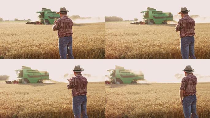 农民在联合收割麦秆