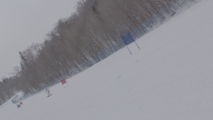 高山滑雪