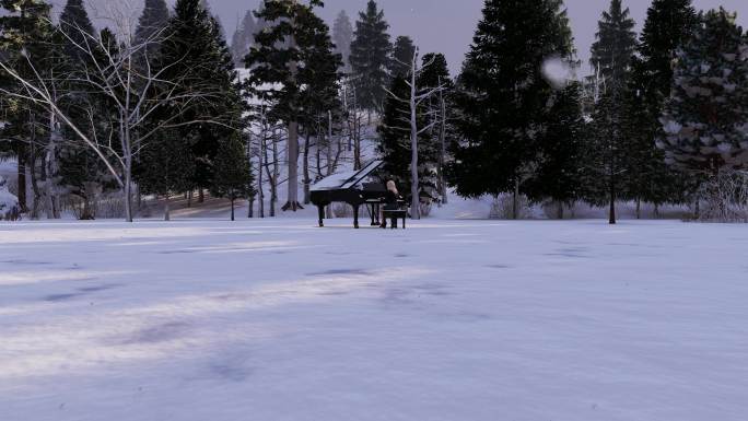 冬天雪中女性弹钢琴