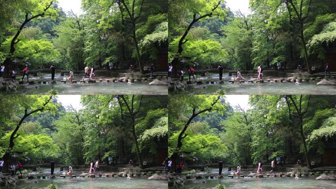 春天五泄溪水瀑布绿树游客原素材