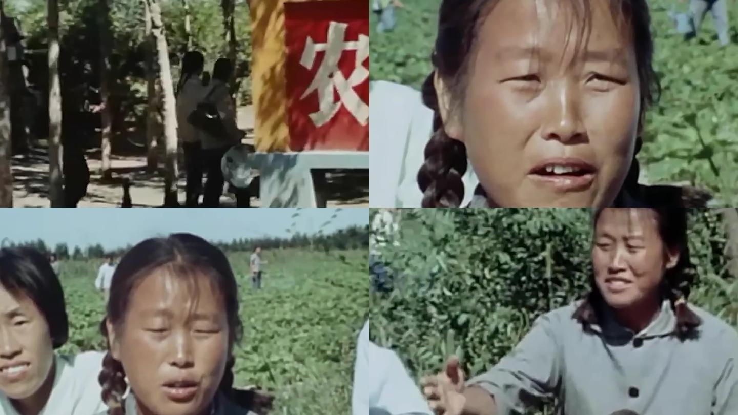 70年代农业学大寨 妇女劳动