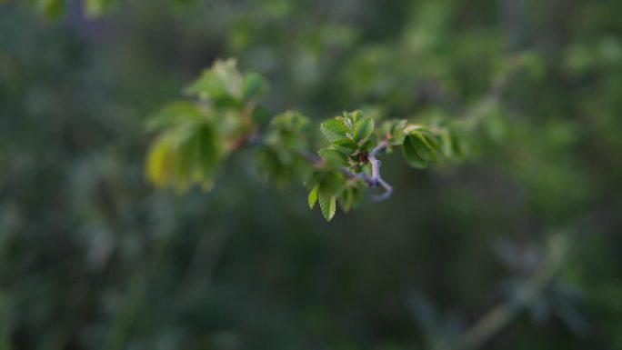 陕西 乡村的傍晚