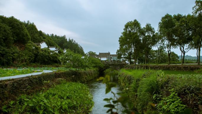 婺源村口绿水青山小溪植物运动延时摄影HD