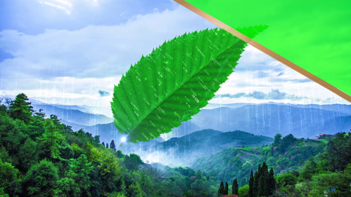 绿色科技碳中和碳达峰科技植物叶子粒子树叶
