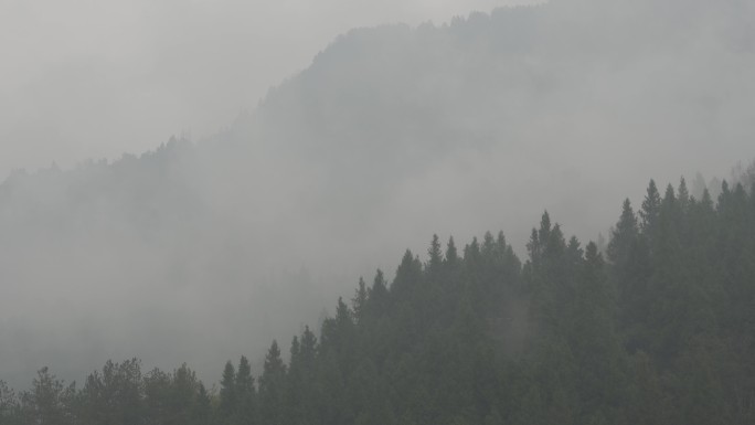 下雨山林