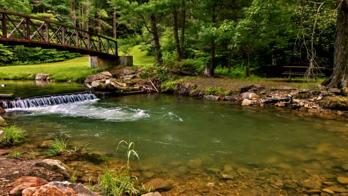 森林溪流大自然木桥独木桥小桥生态