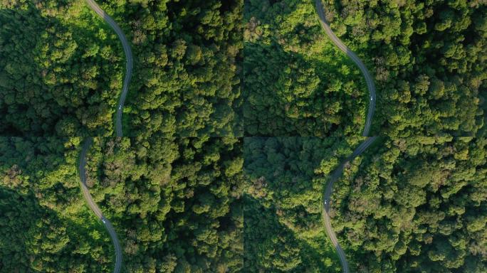 汽车通过山顶弯道的跟踪拍摄