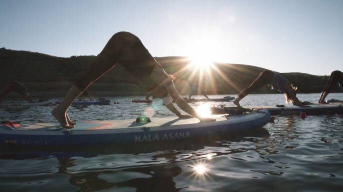 一群妇女在湖面的桨板上做着向下的瑜伽姿势