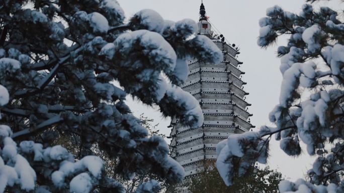 沈阳冬季舍利塔公园雪景