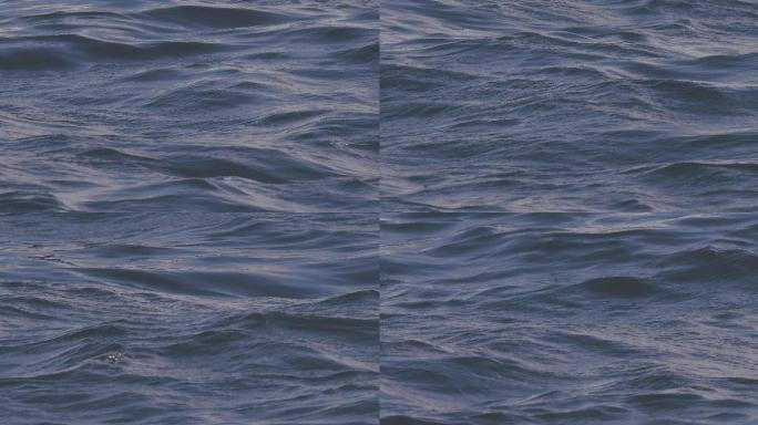 影视级4K素材：蓝色大海海面波光粼粼01