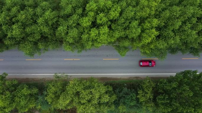 公路航拍  城市道路 道路绿化 旅游