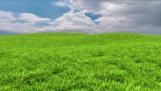 高品质4K草原草地草坪视频背景