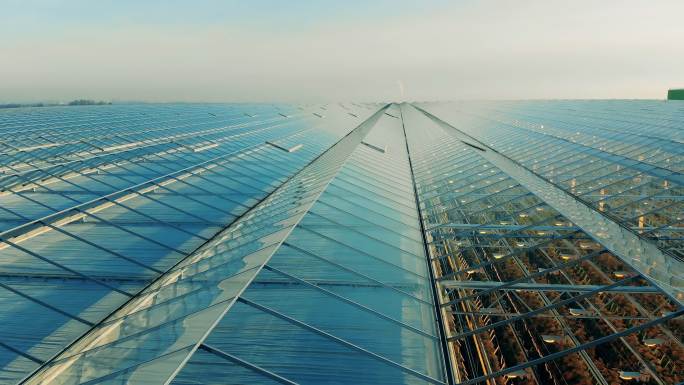 温室屋顶。阳光科技现代化
