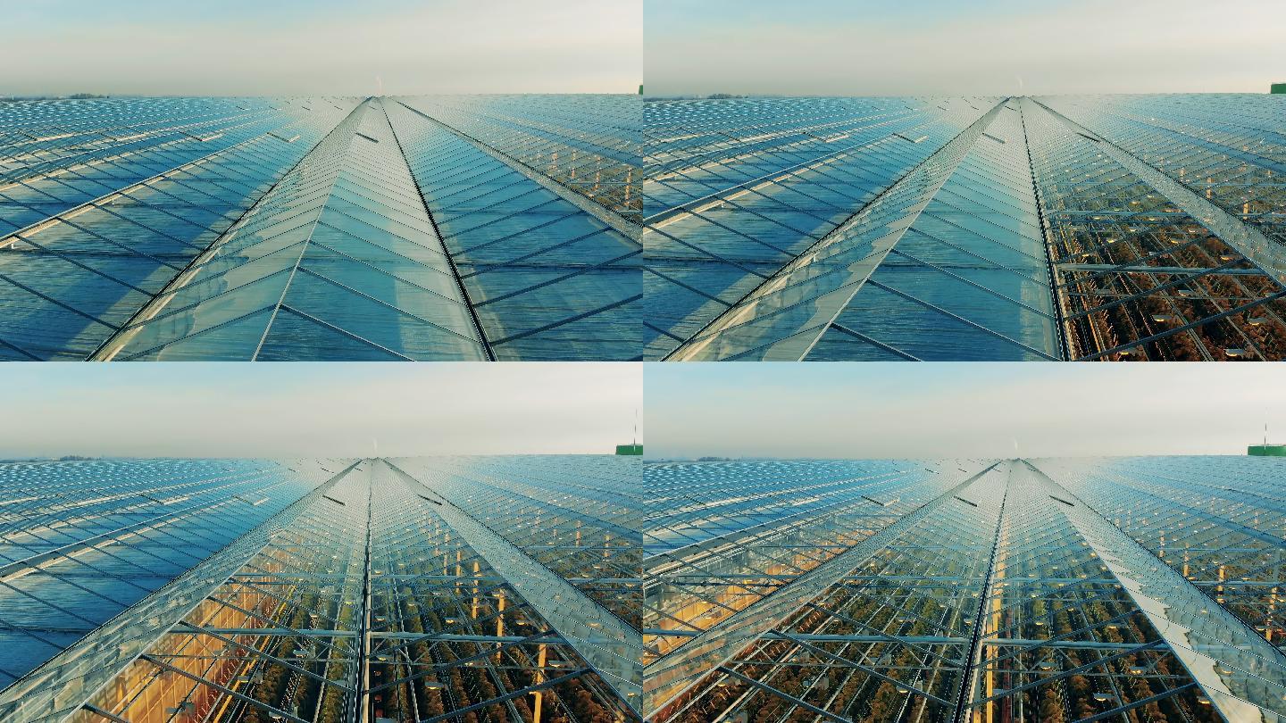 温室屋顶。阳光科技现代化