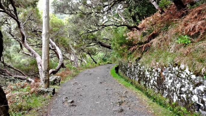 徒步旅行农村土路泥巴路乡村小路