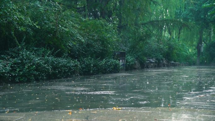 雨中 公园一角 升格