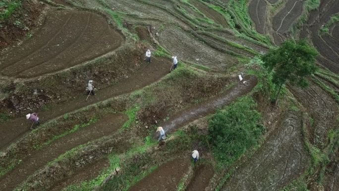 梯田农田务农农耕种植耕地航拍A015