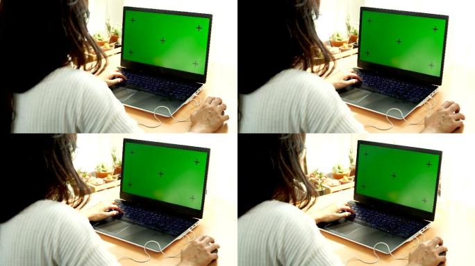 使用绿色屏幕笔记本电脑可抠像