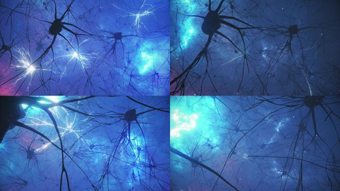 神经元和突触活动的动画