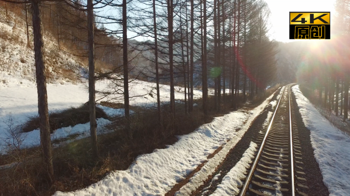 铁轨、树林、雪景、冬季、阳光