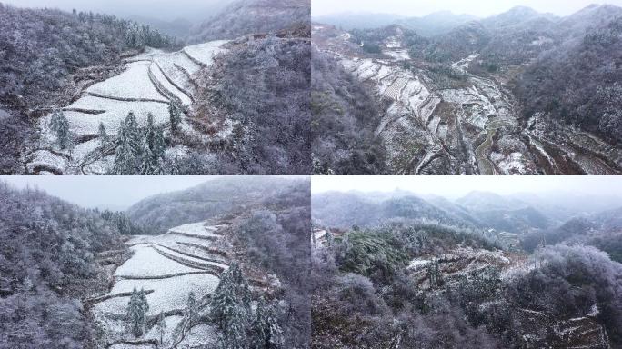 雪后大山里的梯田农田