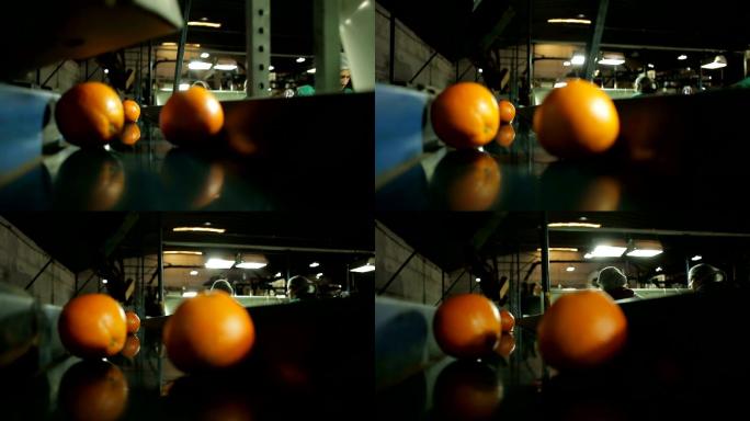 传送带上的橘子实拍视频素材传送带