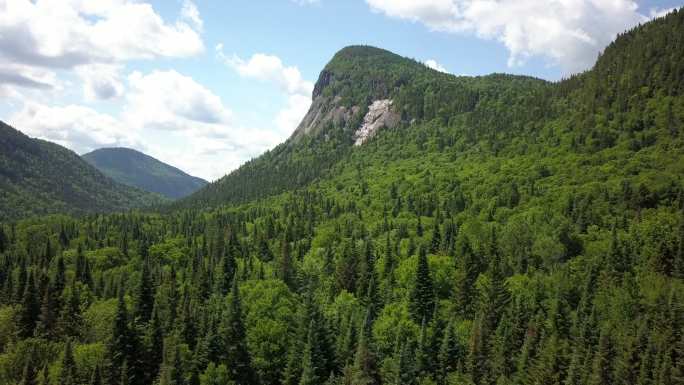夏季北方自然森林和山脉鸟瞰图