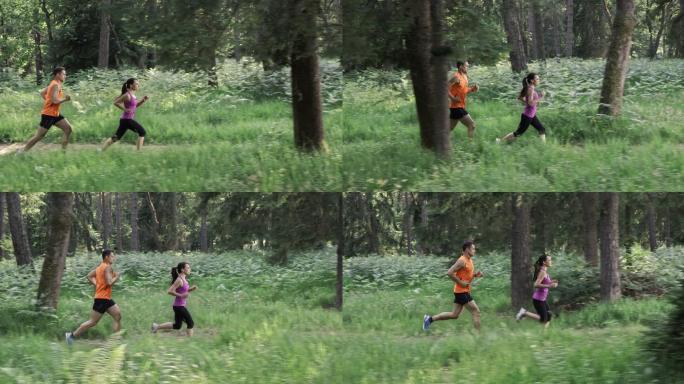 夫妇在森林里奔跑晨跑运动健康生活公园锻炼
