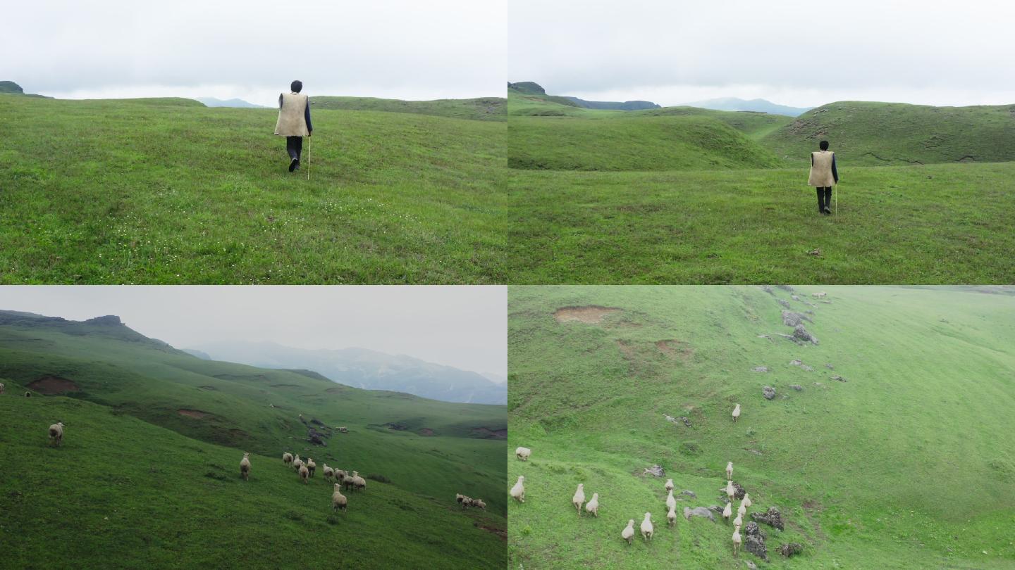 放牧人山坡草原放羊羊群马群航拍A015