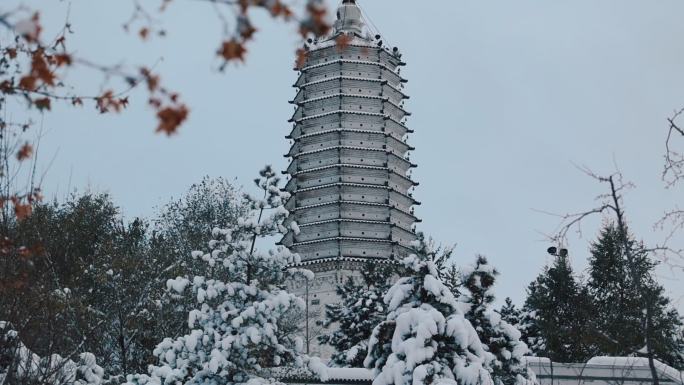 沈阳冬季舍利塔公园雪景