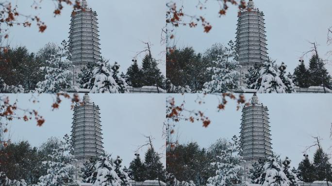 沈阳冬季舍利塔公园雪景