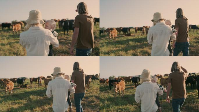 走在牧场上的夫妇外国人夫妻一家人庄园牛群