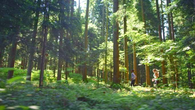 两名女运动员在阳光明媚的森林中奔跑